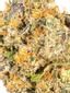 Octane Mint Sorbet Indica Cannabis Strain Thumbnail