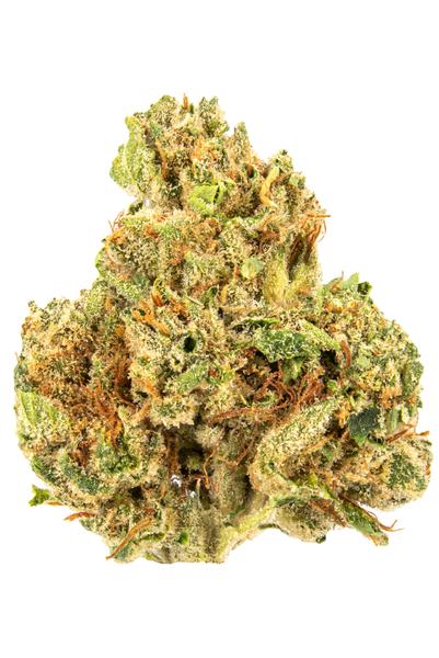 OG #18 - Hybrid Cannabis Strain