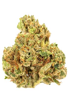 OG #18 - Hybride Cannabis Strain