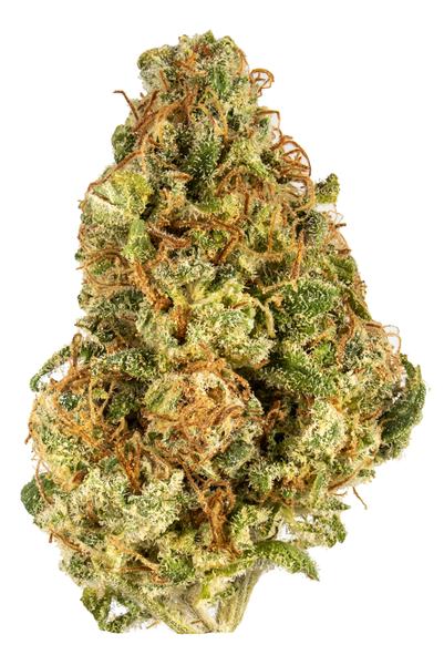 OG Ringo - Hybrid Cannabis Strain