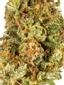 OG Ringo Hybrid Cannabis Strain Thumbnail