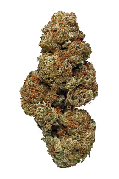 OG Wreck - Híbrido Cannabis Strain