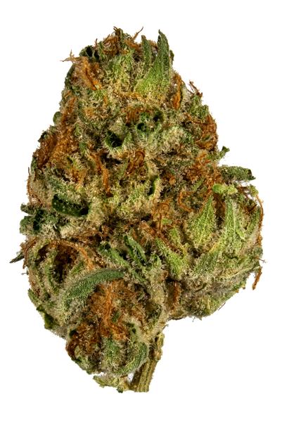 OGKB - Hybrid Cannabis Strain