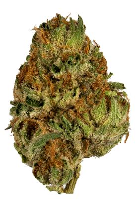 OGKB - 混合物 Cannabis Strain