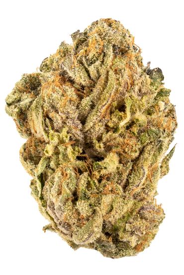 OGKB x Original Z - Hybrid Cannabis Strain