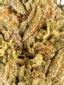 OGKB x Zkittlez Hybrid Cannabis Strain Thumbnail