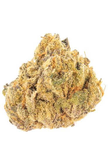 OGKZ - Hybrid Cannabis Strain