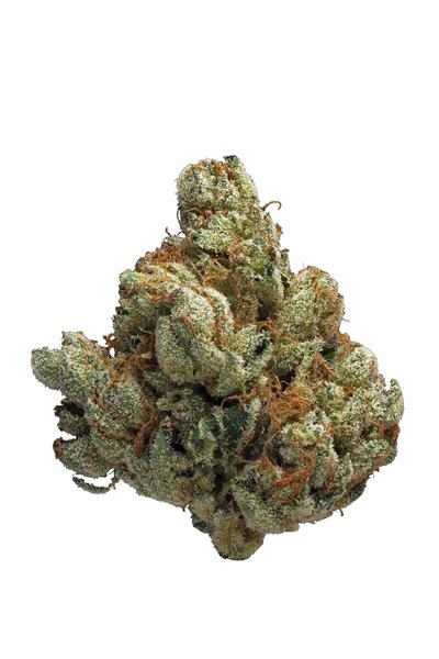 Ogre OG - Híbrido Cannabis Strain