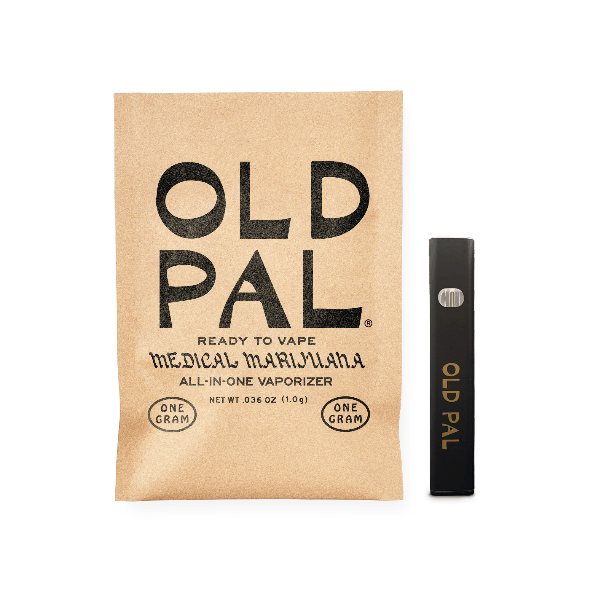 All-In-One Vape 1g Product Image