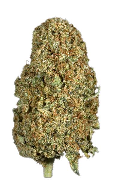 Omega Dawg - Híbrida Cannabis Strain