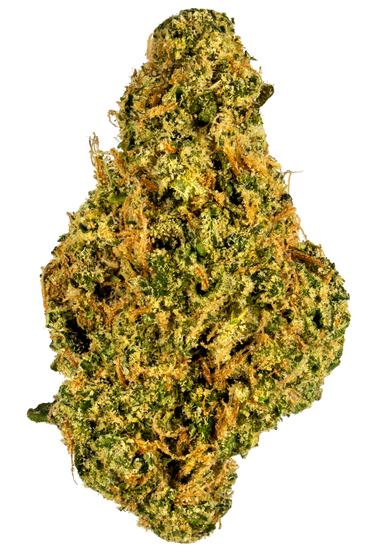 Orange 43 - Hybrid Cannabis Strain