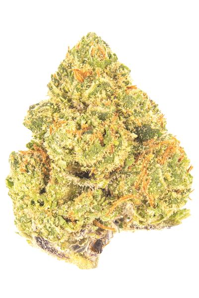 Orange Acai - Hybrid Cannabis Strain