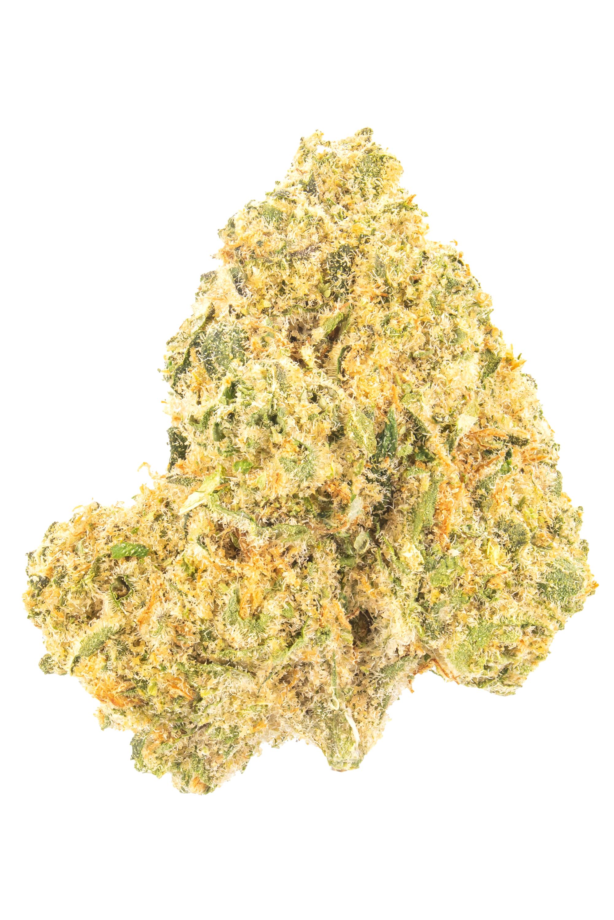 Orange Beltz - Hybrid Cannabis Strain