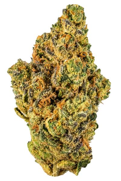 Orange Cake - Híbrida Cannabis Strain