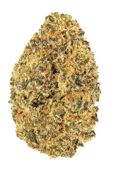 Orange Cookie Crasher - Hybrid Cannabis Strain