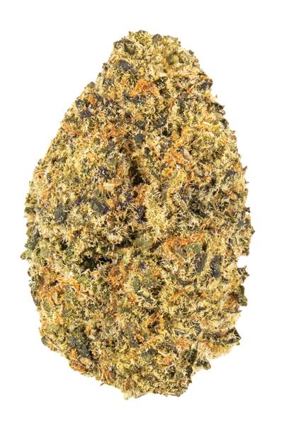 Orange Cookie Crasher - Híbrido Cannabis Strain
