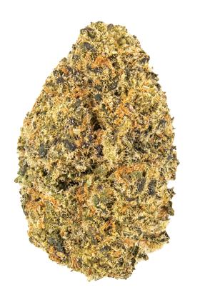 Orange Cookie Crasher - 混合物 Cannabis Strain