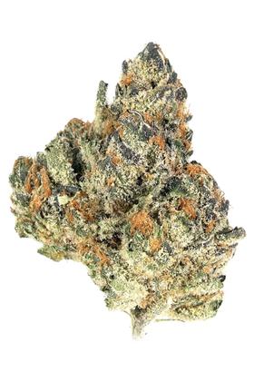 Orange Cookies - Hybrid Cannabis Strain