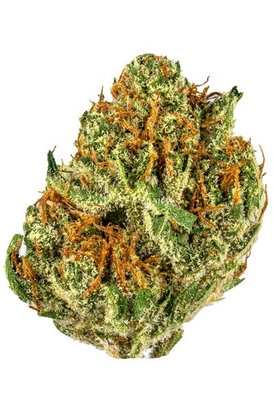 Orange Creamsicle - Hybrid Cannabis Strain