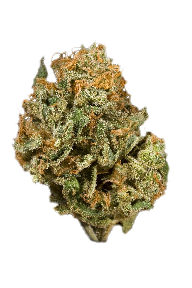 Orange Haze - Hybrid Cannabis Strain