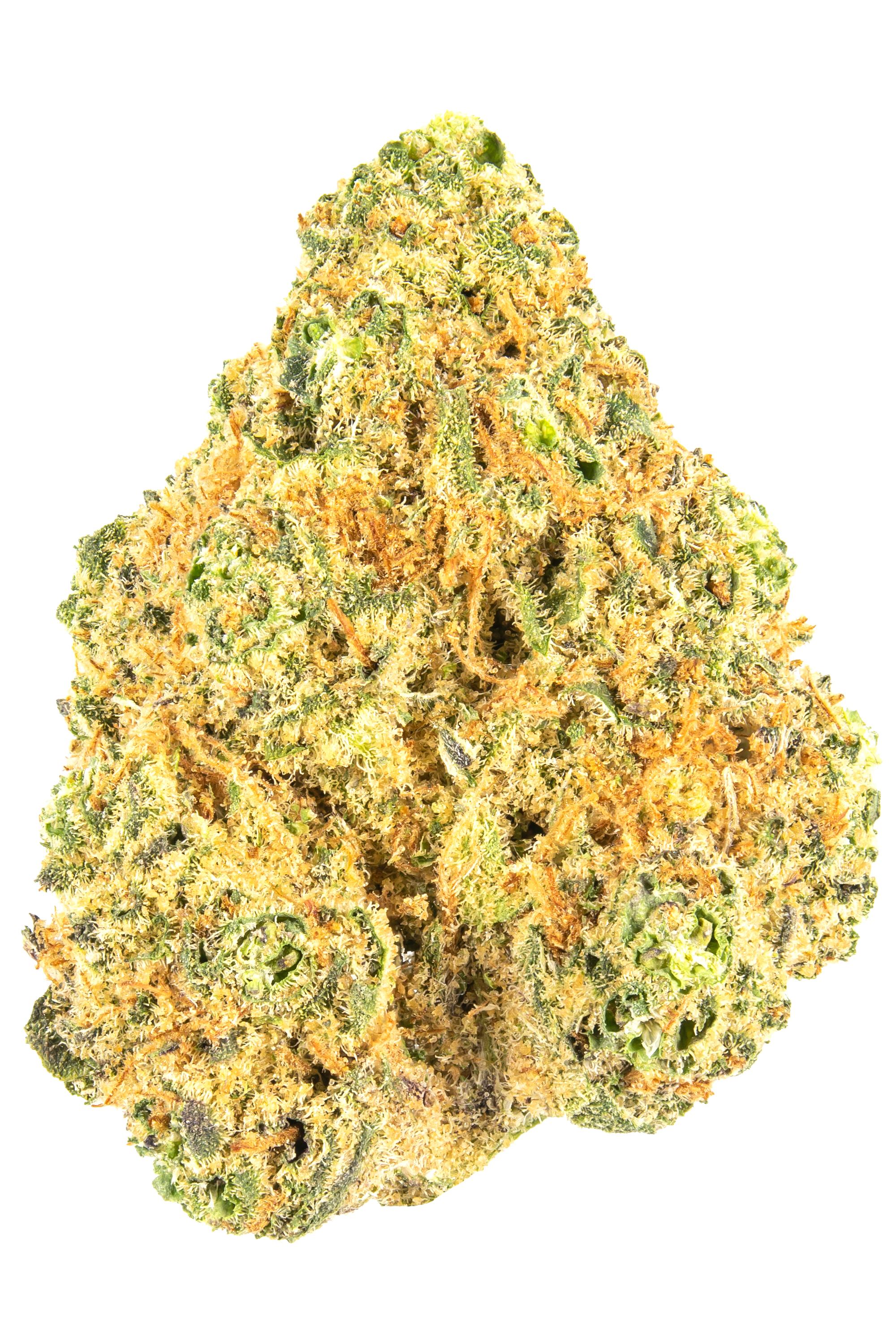 Orange Krush - Hybrid Cannabis Strain