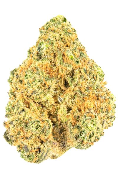 Orange Krush - Hybrid Cannabis Strain