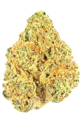 Orange Krush - Hybride Cannabis Strain