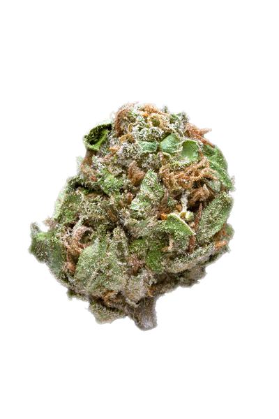 Orange Crush - Hybrid Cannabis Strain