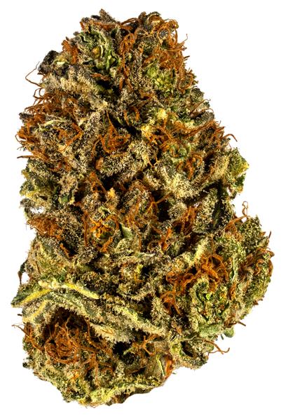 Orange POTUS - Hybrid Cannabis Strain