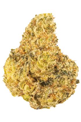 Orange Sundae - Híbrida Cannabis Strain