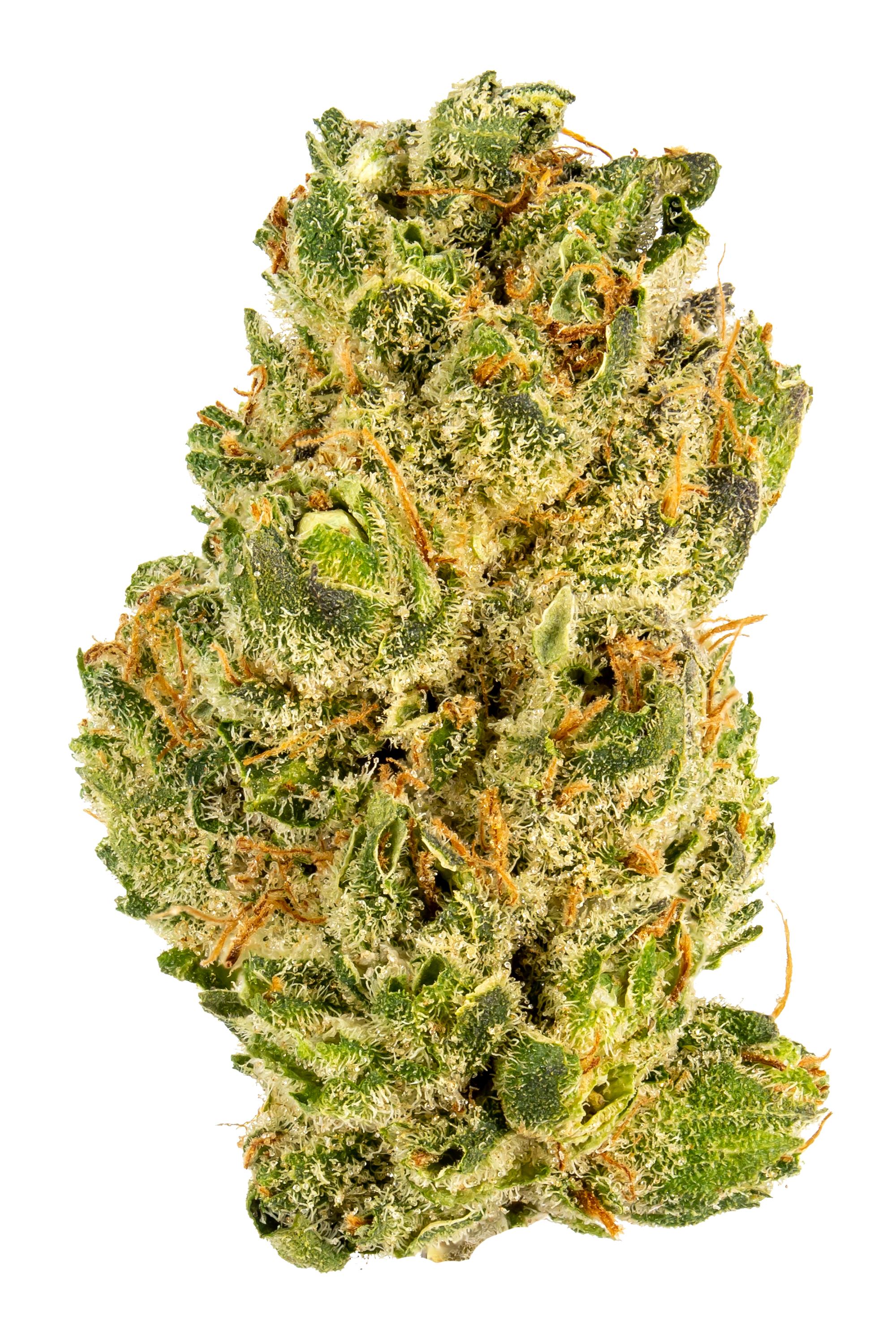 Orange Valley Og Strain Hybrid Cannabis Review Thc Terpenes Hytiva