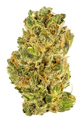 Orange Valley OG - Híbrida Cannabis Strain