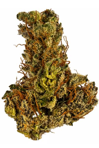Orange Zeta - Hybrid Cannabis Strain