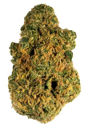 Orange Zkittlez - Hybrid Cannabis Strain