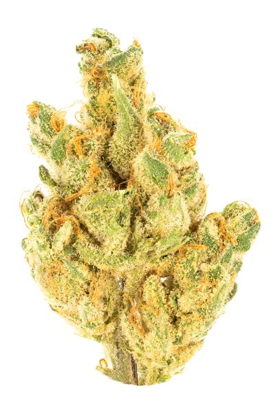 Orangeade - Híbrida Cannabis Strain