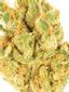 Orangeade Hybrid Cannabis Strain Thumbnail