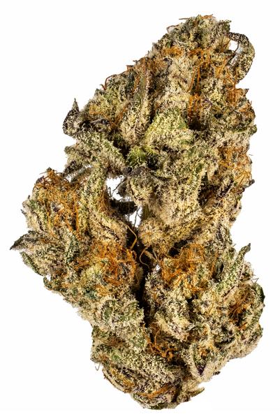 Oregon Raspberry - Hybrid Cannabis Strain