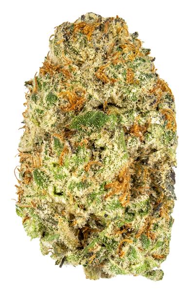 Oreoz - Híbrido Cannabis Strain