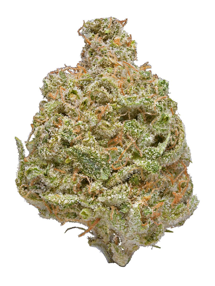 Oriental Express - Hybrid Cannabis Strain