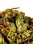Original Kush Hybrid Cannabis Strain Thumbnail