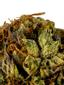 Original Kosher Hybrid Cannabis Strain Thumbnail