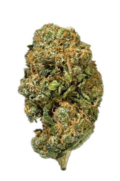 Original OG - Hybrid Cannabis Strain