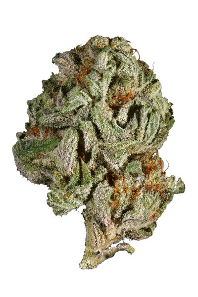 Panama Punch - Hybrid Cannabis Strain