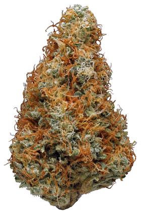 Papaya Kush - Hybrid Cannabis Strain