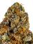 Papaya OG Hybrid Cannabis Strain Thumbnail