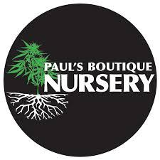 Paul s Boutique Nursery Overview