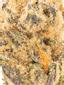 Peach Horchata Hybrid Cannabis Strain Thumbnail