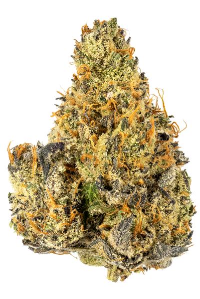 Peach Pie - Hybrid Cannabis Strain