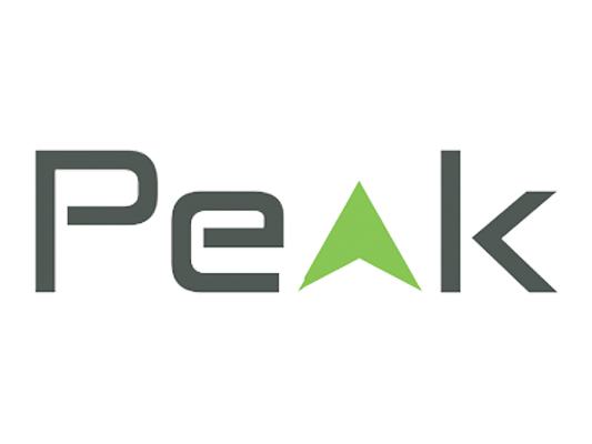 Peak MJ Logo