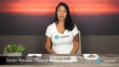 Peanut Butter Breath - Hybrid Strain